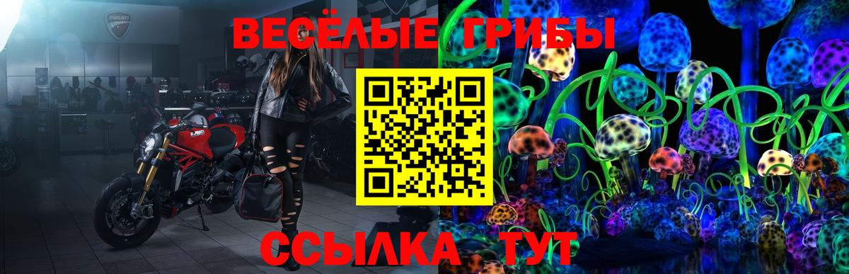 Михайловка  Галлюциногенные грибы Cubensis  Галлюциногенные грибы Psilocybine cubensis  Вход с VPN 