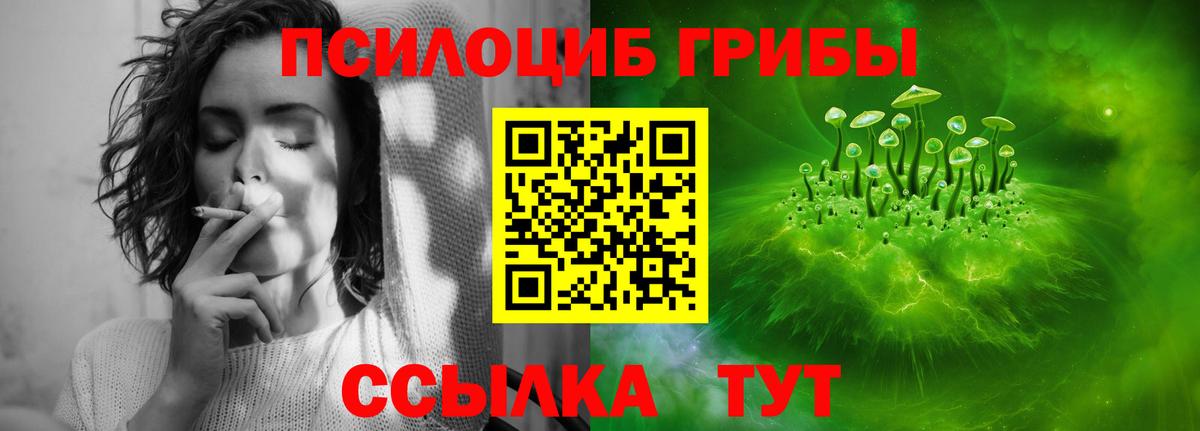 Псилоцибиновые грибы Magic Shrooms Михайловка