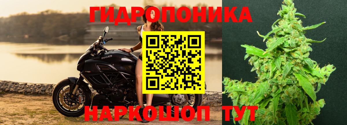 Михайловка  Марихуана VHQ  МАРИХУАНА OG Kush  Вход с VPN  Бошки Шишки Bruce Banner 